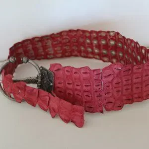 Accessories | New Jazz Alligator Very Unique Gorgeous Wide  display picture 1